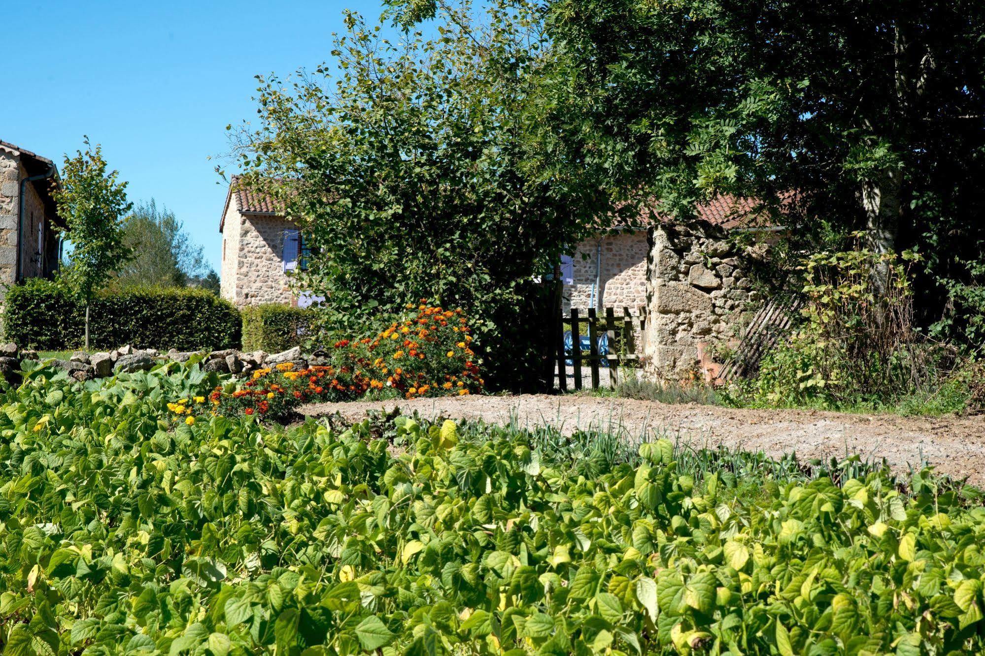 Domaine De La Plagnette Hotel Les Salles Exterior foto